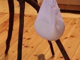 Półkolonie letnie 2025